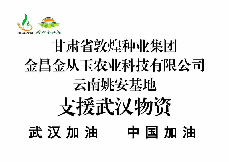 眾志成城 抗擊疫情 敦煌種業(yè)金從玉在行動